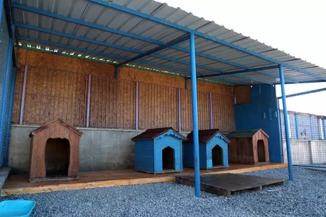 Hayvan Bakım Evi kışa hazır