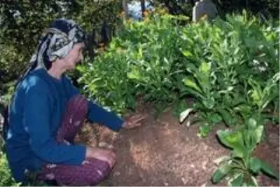 Son dakika haber! İkranur'un ölümü ile ilgili sır perdesi aralanamadı