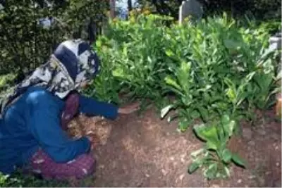 Son dakika haber! İkranur'un ölümü ile ilgili sır perdesi aralanamadı