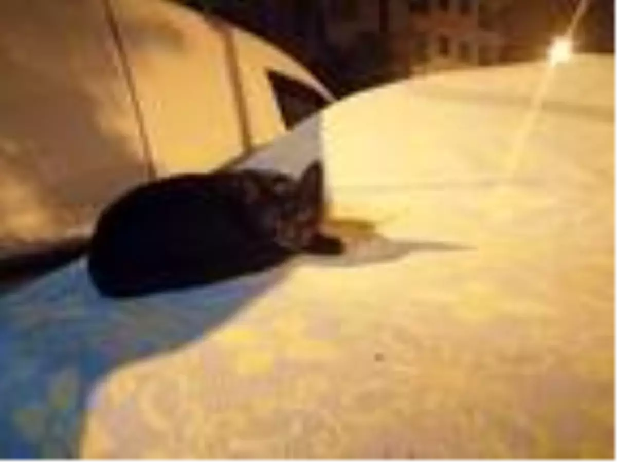 Kağıthane'de vatandaşların dolu önlemi