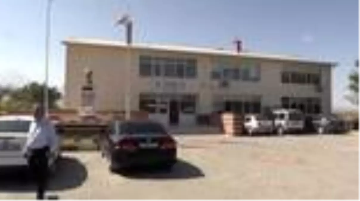 Morkaraman ve akkaraman ırkı koyun ve koçlar Azerbaycan'a ihraç ediliyor