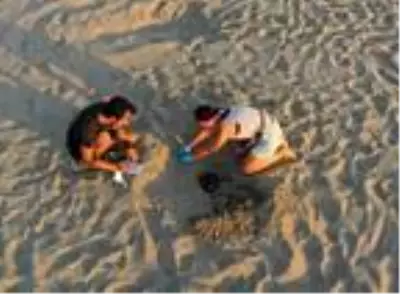 Patara'da 22 bin yavru caretta caretta denizle buluştu Patara'da 22 bin yavru caretta caretta denizle buluştu