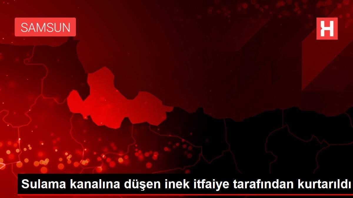 Sulama kanalına düşen inek itfaiye tarafından kurtarıldı