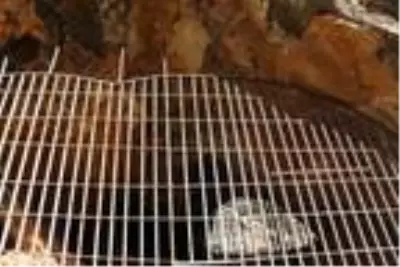 Tarihi mağara defineciler tarafından tahrip edildi Tarihi mağara defineciler tarafından tahrip edildi