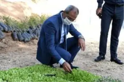 Tarsus Belediyesinin tohum takasıyla 1 milyon tohum el değiştirdi Tarsus Belediyesinin tohum takasıyla 1 milyon tohum el değiştirdi