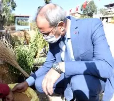 Tarsus Belediyesinin tohum takasıyla 1 milyon tohum el değiştirdi Tarsus Belediyesinin tohum takasıyla 1 milyon tohum el değiştirdi