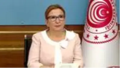Son dakika haberi | Türkiye-Afrika Ekonomi ve İş Forumu - Ticaret Bakanı Pekcan (2)