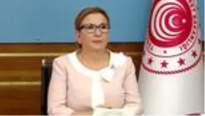 Son dakika haberi | Türkiye-Afrika Ekonomi ve İş Forumu - Ticaret Bakanı Pekcan (2)