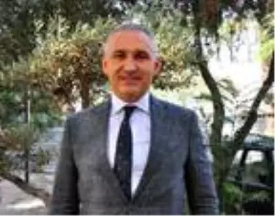 'Zeytinin başkenti' Akhisar'da hasat başladı