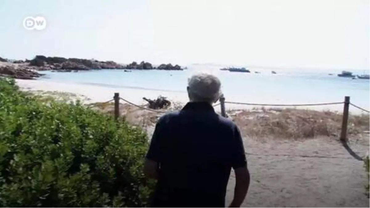 Adada tek başına | Tek yoldaşı iki tavuk