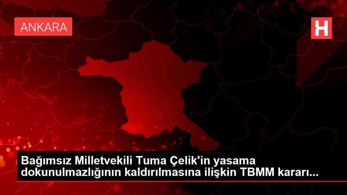 Bağımsız Milletvekili Tuma Çelik'in yasama dokunulmazlığının kaldırılmasına ilişkin TBMM kararı...