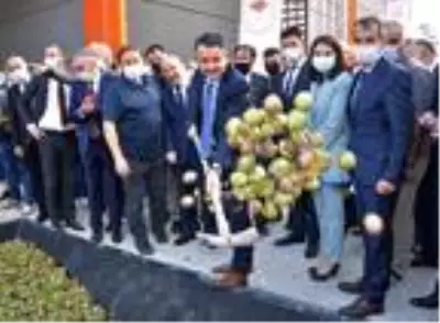 Son dakika haberleri! Bakan Pakdemirli: 29 bin ton üzüm aldık, 303 milyon lira ödeme yaptık