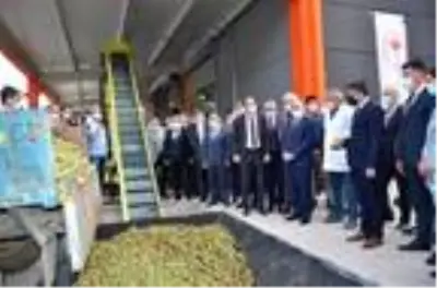 Son dakika haberleri! Bakan Pakdemirli: 29 bin ton üzüm aldık, 303 milyon lira ödeme yaptık
