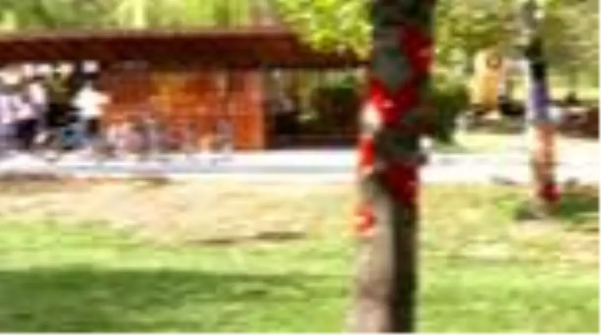 Başkent parklarına kadın dokunuşu