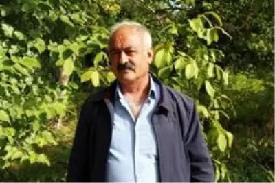 Bitlis çiftçisi bu yıl cevizden 150 Milyon TL kazanacak Bitlis çiftçisi bu yıl cevizden 150 Milyon TL kazanacak
