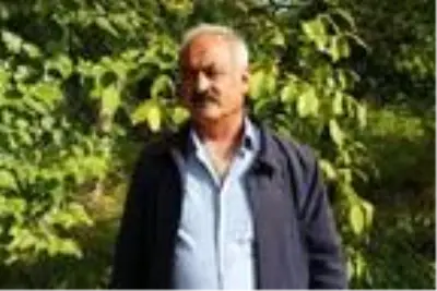 Bitlis çiftçisi bu yıl cevizden 150 Milyon TL kazanacak Bitlis çiftçisi bu yıl cevizden 150 Milyon TL kazanacak