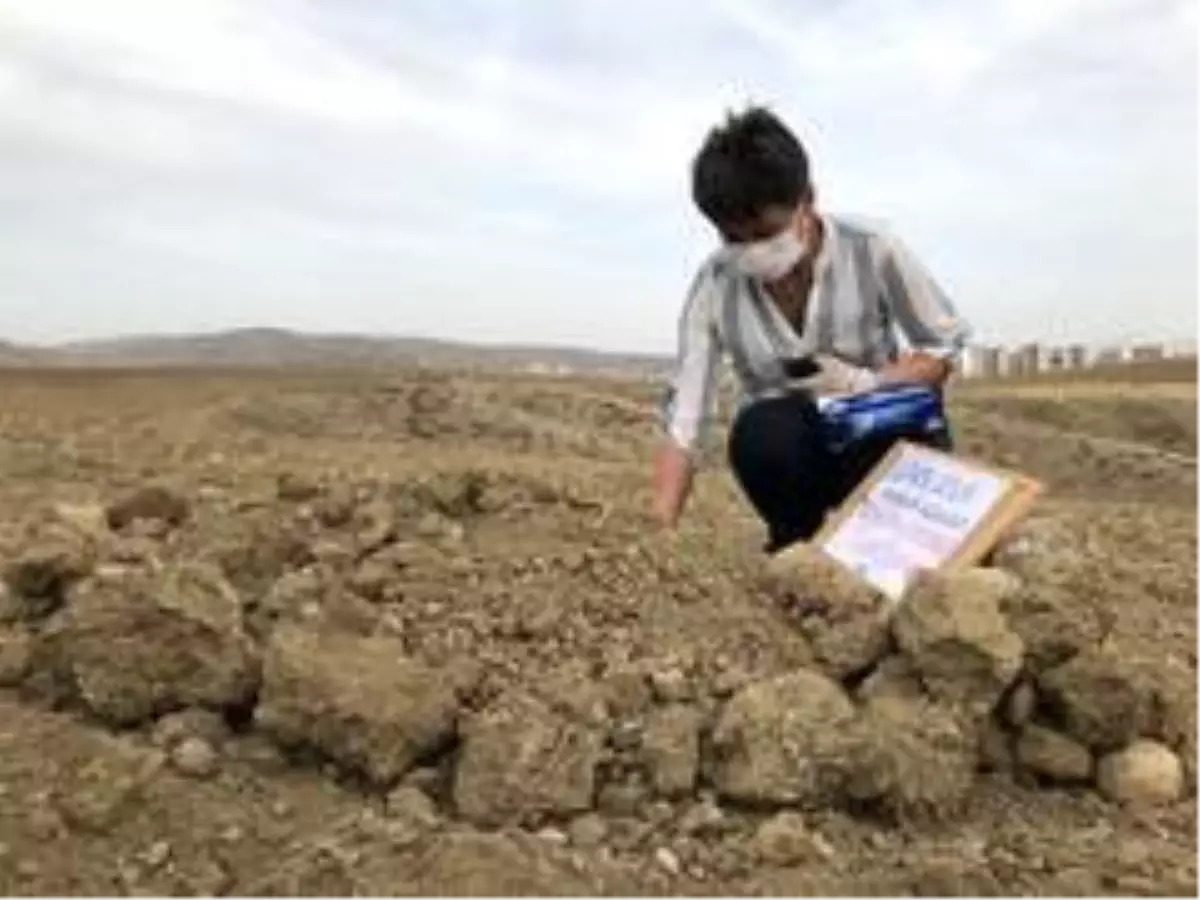 Çocuğu gibi baktığı kedisini gözyaşları içinde toprağa verdi