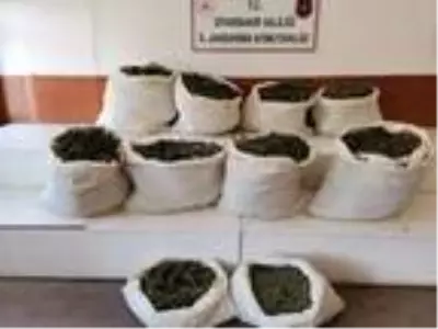 Trabzon?da 2 noktada orman yangını, ekipler müdahale ediyor Trabzon?da 2 noktada orman yangını, ekipler müdahale ediyor