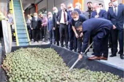 Eline küreği alan Bakan Pakdemirli makineye ceviz yükledi Eline küreği alan Bakan Pakdemirli makineye ceviz yükledi
