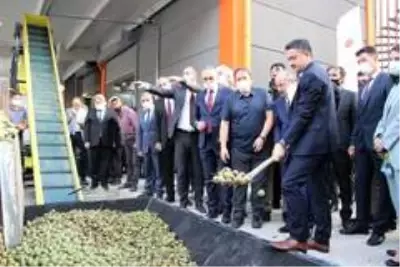 Eline küreği alan Bakan Pakdemirli makineye ceviz yükledi Eline küreği alan Bakan Pakdemirli makineye ceviz yükledi