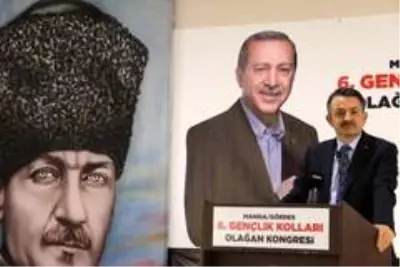 Eline küreği alan Bakan Pakdemirli makineye ceviz yükledi Eline küreği alan Bakan Pakdemirli makineye ceviz yükledi