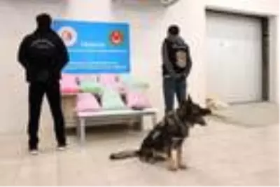 Hamzabeyli'de TIR'da 50 milyon liralık uyuşturucu hap ele geçirildi Hamzabeyli'de TIR'da 50 milyon liralık uyuşturucu hap ele geçirildi