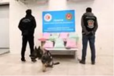 Hamzabeyli'de TIR'da 50 milyon liralık uyuşturucu hap ele geçirildi Hamzabeyli'de TIR'da 50 milyon liralık uyuşturucu hap ele geçirildi