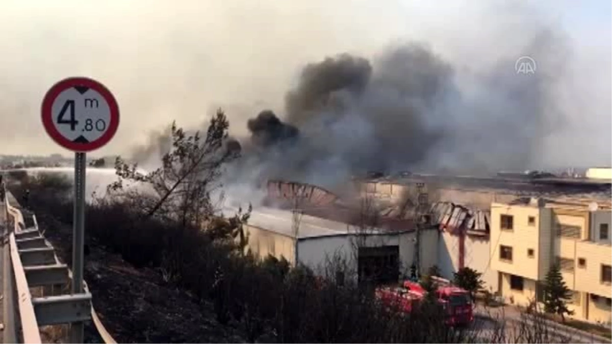Hatay'da orman yangını yerleşim yerlerini tehdit ediyor - Sabah - Haber  Ofisi
