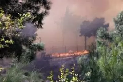 Son dakika haberleri! Hatay'daki yangın farklı noktalara sıçradı Son dakika haberleri! Hatay'daki yangın farklı noktalara sıçradı