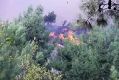 Son dakika haberleri! Hatay'daki yangın farklı noktalara sıçradı Son dakika haberleri! Hatay'daki yangın farklı noktalara sıçradı
