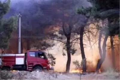 Son dakika haberleri! Hatay'daki yangın farklı noktalara sıçradı Son dakika haberleri! Hatay'daki yangın farklı noktalara sıçradı