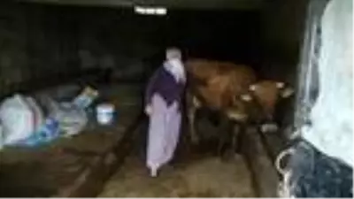 Son dakika haberi: Kızı kandırılarak dağa kaçırılan anne, umudunu koruyor Son dakika haberi: Kızı kandırılarak dağa kaçırılan anne, umudunu koruyor