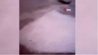 Son dakika haberleri! Aniden gökyüzü karardı, başlayan dolu ile yerler beyaza büründü Son dakika haberleri! Aniden gökyüzü karardı, başlayan dolu ile yerler beyaza büründü