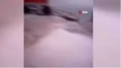 Son dakika haberleri! Aniden gökyüzü karardı, başlayan dolu ile yerler beyaza büründü Son dakika haberleri! Aniden gökyüzü karardı, başlayan dolu ile yerler beyaza büründü