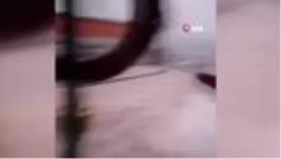 Son dakika haberleri! Aniden gökyüzü karardı, başlayan dolu ile yerler beyaza büründü Son dakika haberleri! Aniden gökyüzü karardı, başlayan dolu ile yerler beyaza büründü