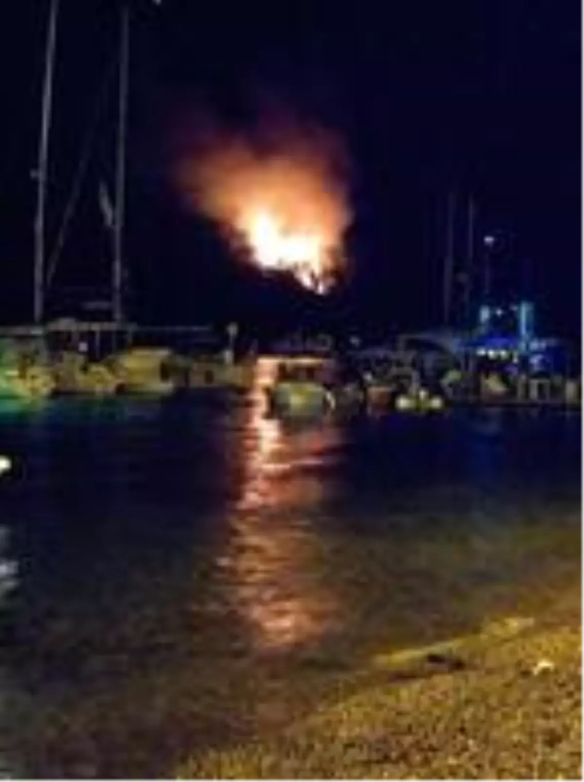 Milas'ta orman yangını