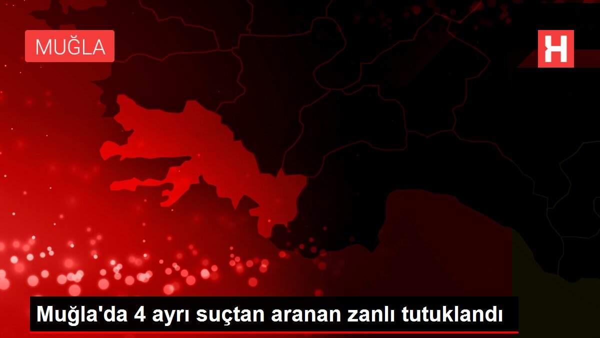 Muğla'da 4 ayrı suçtan aranan zanlı tutuklandı