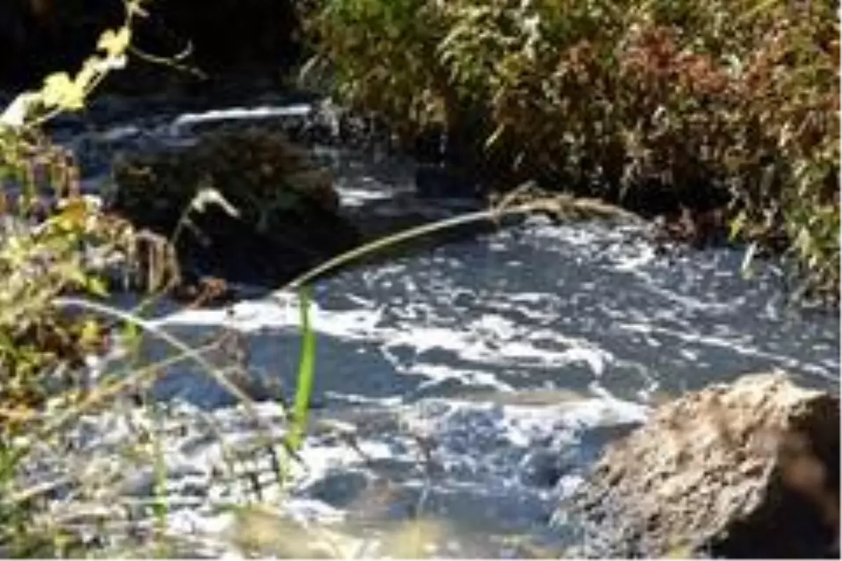 Şahnahanlılar MTSO Başkanı Sadıkoğlu'na OSB teşekkürü