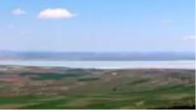 Seyfe Gölü Kuş Cenneti, kuraklığın etkisiyle sessizliğe büründü Seyfe Gölü Kuş Cenneti, kuraklığın etkisiyle sessizliğe büründü