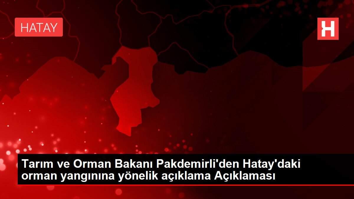 Tarım ve Orman Bakanı Pakdemirli'den Hatay'daki orman yangınına yönelik açıklama Açıklaması