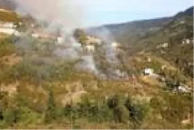 Trabzon?da 2 noktada orman yangını, ekipler müdahale ediyor Trabzon?da 2 noktada orman yangını, ekipler müdahale ediyor