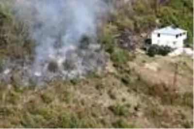 Trabzon?da 2 noktada orman yangını, ekipler müdahale ediyor Trabzon?da 2 noktada orman yangını, ekipler müdahale ediyor