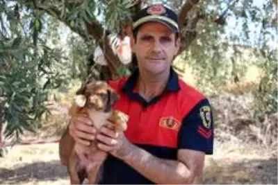 Yavru köpeği annesine kavuşturdular