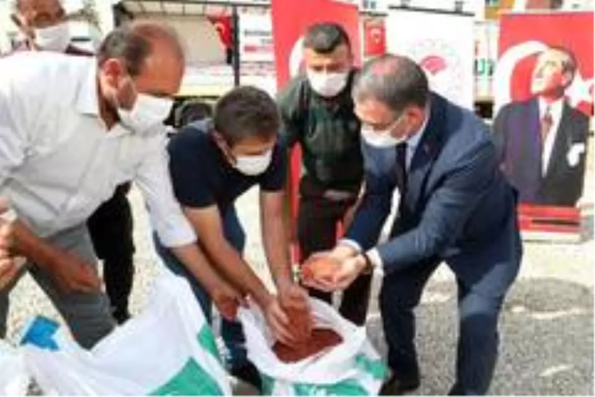 5 bin çiftçiye sertifikalı tohum dağıtıldı