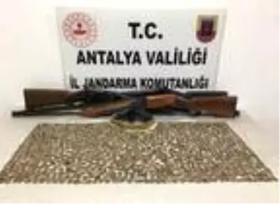 Alanya'da bir evde 1083 sikke ele geçirildi Alanya'da bir evde 1083 sikke ele geçirildi