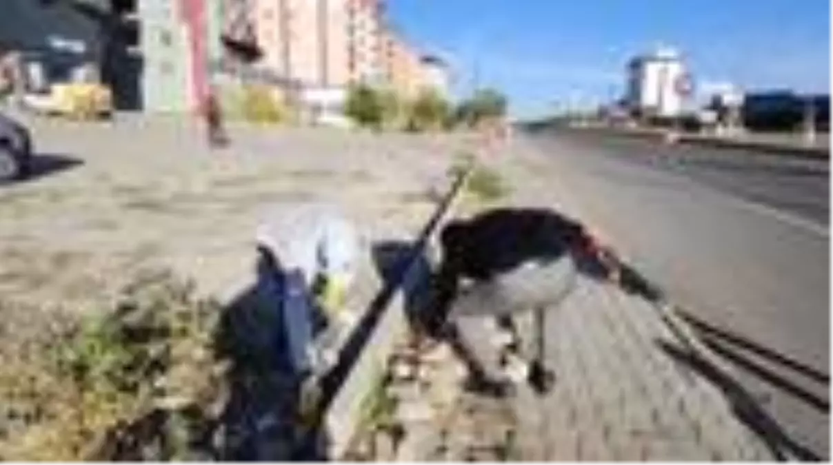 Başkan Sayan, pandemi döneminde çöp toplayarak farkındalık oluşturdu