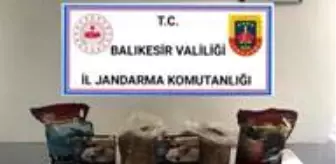 Bigadic Haberleri Bigadic Haber Haberler