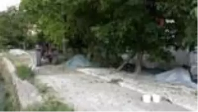 Bitlis çiftçisi bu yıl cevizden 150 milyon TL kazanacak Bitlis çiftçisi bu yıl cevizden 150 milyon TL kazanacak