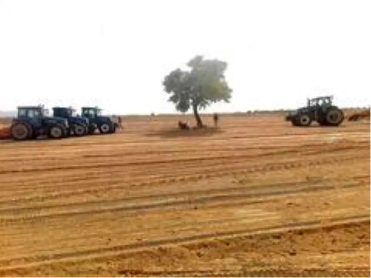 Son dakika haberleri! Denizli'de arazi kavgası: 1 ölü, 2 yaralı