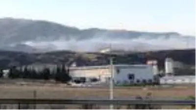 Son Dakika Haberleri Hatay Da Yerlesim Yerlesim Yerlerine De Sicrayan Orman Yangini Sondurmek Icin Izmir